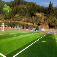 Günstiger Preis Lagerbestand Kunstrasen 50 mm Kunstrasen Futsal-Teppich Kunstrasen Verifizierter Lieferant 2*25m Rolle