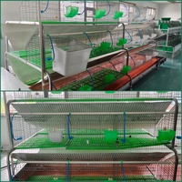 Cage à lapins à 3 niveaux et 18 niches, cage à animaux pour usage agricole, cage d'élevage de lapins galvanisée à chaud