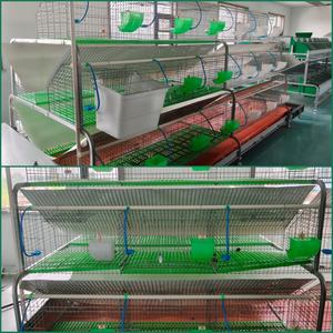 <span class=keywords><strong>Cage</strong></span> à lapins à 3 niveaux et 18 nids <span class=keywords><strong>Cage</strong></span> à animaux pour usage agricole <span class=keywords><strong>Cage</strong></span> d'élevage de lapins galvanisée à chaud - Product Image 6