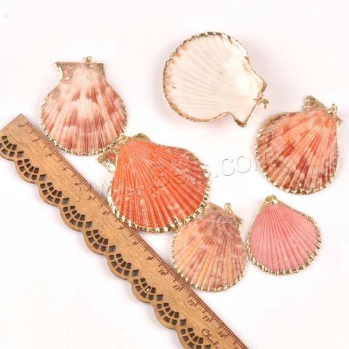 20 Pièces Accessoires De Décoration De Maison Naturels En Étoile De Mer 20 Pièces Accessoires De Décoration De Maison Naturels En Étoile De Mer