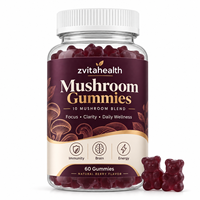 Gummies de champignons Lion's Mane à marque privée pour la mémoire, la concentration cérébrale, supplément nootropique végétarien, faible teneur en sucre, OEM
