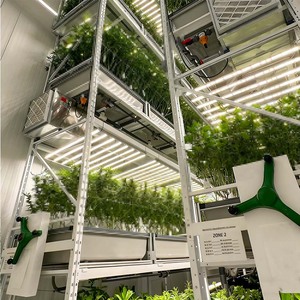 HDPE Insulated Shipping Container <b>Greenhouse</b> Smart Aeroponic Irrigation Full Spectrum LED Plant Growing System - Product Image 2