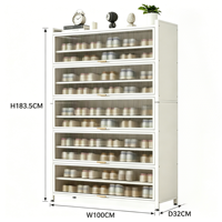 Mueble de Salón Moderno, Zapatero de Acero Antipolvo con Puerta Abatible, Estante de Almacenamiento, Fácil de Montar, Mueble Duradero para el Hogar