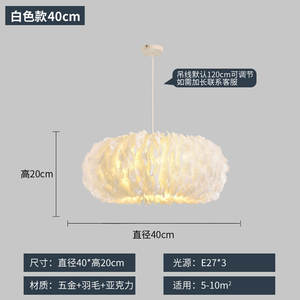 Trendy Nordic Style Feather Pendant <b>Light</b> for Girls Bedroom Dressing Room & Study for Home Use - Product Image 5