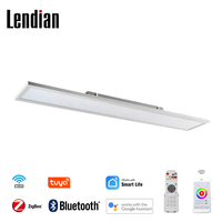 Lampe de poche intelligente tuya, lumière led, noir, blanc, or, smd dob, 2x4, intensité variable, cct, change de couleur