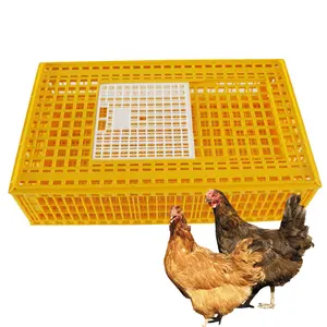 Cage de transport panier en plastique pour volaille, panier de retournement pour poulet, canard, oie, pigeon