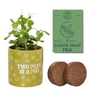 <span class=keywords><strong>Kit</strong></span> de plantation Garden Republic Two Peas in a Pod, <span class=keywords><strong>kit</strong></span> complet de jardinage d'intérieur pour la maison et le bureau - Product Image 1