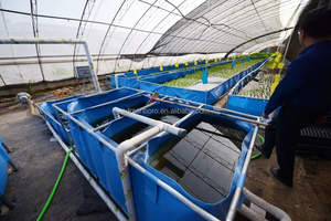 カスタマイズ可能な魚用アクアポニックスシステム｜ラフトベッド・アクアポニックスタンク - Product Image 4