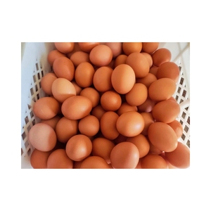 3% bileşik Premium katman beslemesi-tavuklar ve ördekler için toptan hayvan yemi - Product Image 3