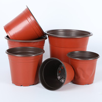 Automatische PP PS PET PVC plastic eierbakjes, bloempotten, zaailingbakjes en eierbakjes thermoformmachine