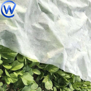 Agriculture Pp Nonwoven Fabric Agricultural White Gauze Crop Row <strong>Cover</strong> Fabric Garden Row <strong>Cover</strong> for <strong>Plants</strong> <strong>Cover</strong> - Product Image 2