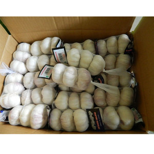Commercio all'ingrosso nuovo fornitore di aglio fresco normale aglio bianco alho ail, produttore di buona qualità jinxang ajo aglio - Product Image 3