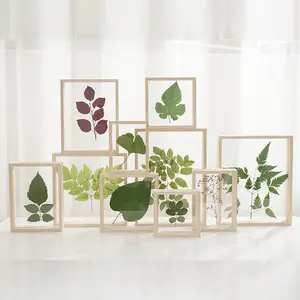 植物标本室木制相框定制透明双面玻璃木框创意原创家居装饰带定制标志