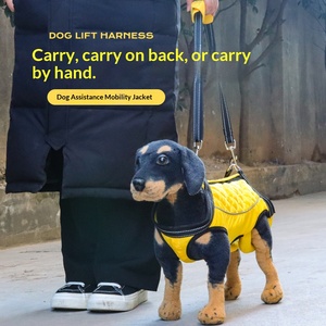 Combinaison de soutien et de rééducation en polyester pour chiens âgés ou handicapés - <span class=keywords><strong>Harnais</strong></span> d'aide à la rééducation multifonctionnel - Product Image 2