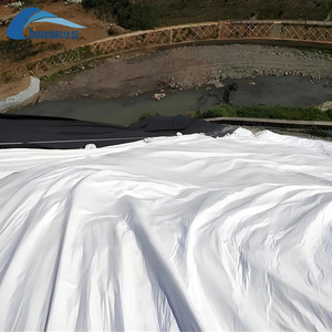 Tissu non tissé robuste 500g 1000g/m² en polyester, membrane filtrante pour sol, <span class=keywords><strong>prix</strong></span> au mètre carré, <span class=keywords><strong>géotextile</strong></span> - Product Image 4