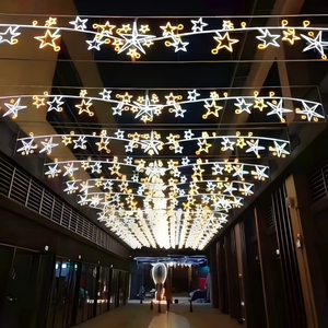 पार्क सजावटी मोटिफ लैंप का नेतृत्व विशाल अवकाश चमकदार सजावट का नेतृत्व किया, आउटडोर के लिए प्रकाश - Product Image 6