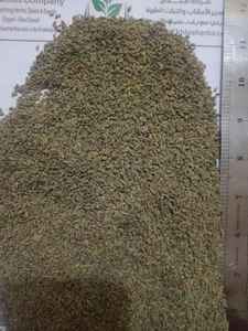 Venta directa de fábrica Semillas de anís de alta calidad Especias y hierbas individuales populares de Egipto - Product Image 3