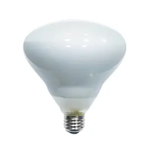 Vintage E26 7W Dimmable BR38 BR40 Filament LED Bulb