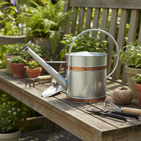 Arrosoir de jardin ovale en acier galvanisé Kimleyda 9L, écologique, avec poignée, couleur et logo personnalisables, vente en gros