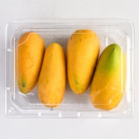 Contenants à clapet transparents en PET de qualité alimentaire, recyclables, pour la présentation de fruits (mangues)