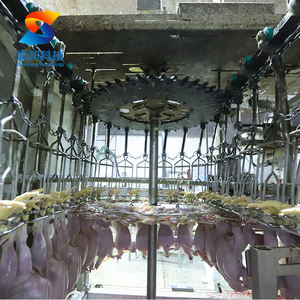 Équipement d'abattage de canard ZB avec équipement de traitement de boucherie et de volaille - Product Image 4