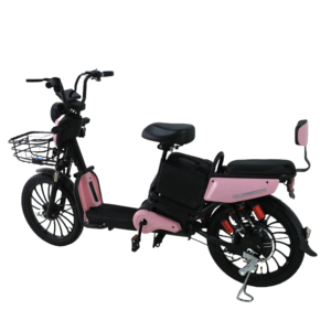 Batería de 20 pulgadas 48V <span class=keywords><strong>bicicleta</strong></span> eléctrica de entrega 500W asiento trasero derecho caja de entrega simple <span class=keywords><strong>bicicleta</strong></span> eléctrica para adultos motocicleta - Product Image 5