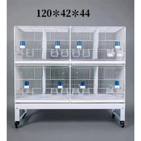 Cage d'élevage de luxe multi-niveaux et mobile pour oiseaux d'amour, vente en gros du fabricant, offre spéciale