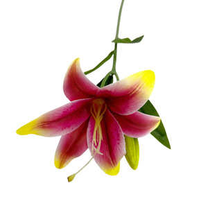 Bouquet de lys artificiels 50 cm en PU souple PVC haute simulation pour décoration intérieure et accessoires de mariage - Product Image 4