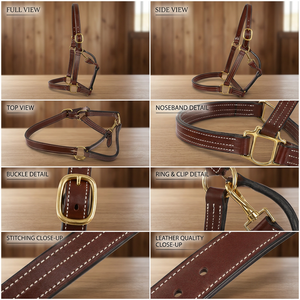 Harnais de cheval en cuir de designer avec ferrures en laiton, qualité d'exportation de Divine International - Product Image 3