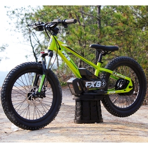 Bicicleta de equilibrio para niños personalizada de fábrica FXB 12 16 <span class=keywords><strong>20</strong></span> pulgadas bicicleta eléctrica con cuadro de aluminio para niños de 3 a 15 años - Product Image 2
