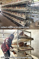 Cage pour Poules Pondeuses en H