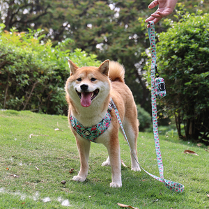 ペット用品 犬用アクセサリー ネオプレン製犬用リードと首輪セット ネオプレンポリエステル製 カスタム印刷入り犬用リードセット - Product Image 3