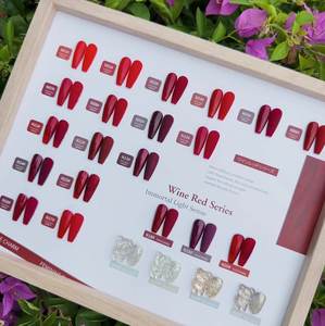 AILANUO 15ml 24 colores de alto brillo rojo juego de pegamento de esmalte de uñas, de moda para mostrar blanco, proveedor de pegamento de esmalte de uñas - Product Image 3