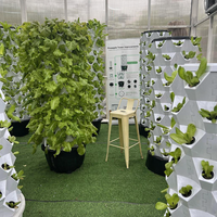 Armoire de culture verticale du fabricant, tour aéroponique hydroponique en ABS avec roues, réservoir d'eau de 65L, système de culture de légumes sans terre