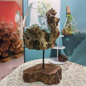 Nuovo vaso casa creativa ornamento in legno naturale con verde idroponico in vetro soffiato pianta uso decorativo per la casa - Product Image 2