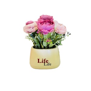Nouvelle plante artificielle de pivoine en pot, 18 cm de hauteur, fleur en soie, bonsaï décoratif pour la maison et l'extérieur - Product Image 5