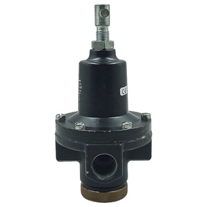 Nuevo Regulador de Alto Flujo 20AG-X4G-PH100 - Product Image 2