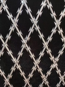 Vente en gros Clôture en treillis de fil de fer barbelé à lames de rasoir non grimpantes galvanisées à chaud <span class=keywords><strong>pour</strong></span> Homestead - Product Image 6