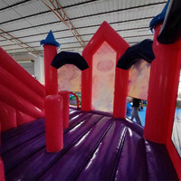 Château gonflable princesse le plus populaire avec toboggan, en PVC, pour enfants, logo personnalisé, couleur personnalisée, haute qualité, utilisation en extérieur, JIALE JL141