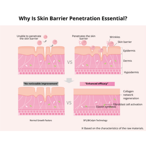 Suero Facial Petitra Antienvejecimiento, Antiarrugas e Iluminador con Péptidos EGF para el Cuidado de la Piel en Casa - Product Image 6