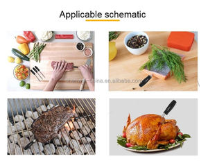 Beat Selling BBQ Termómetro de carne inteligente digital Electrodoméstico inalámbrico con sonda inteligente <span class=keywords><strong>Precio</strong></span> de fábrica - Product Image 4
