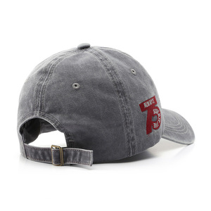 EN STOCK pas cher Offres Spéciales 3D broderie sport casquette de Baseball coton lavé couleur unie bord incurvé 6 panneau papa chapeau OEM ODM accepter - Product Image 3