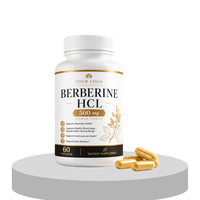 Kapsul Berberine HCL 500mg Label Pribadi OEM Mendukung Kesehatan Metabolik dan Kardiovaskular Suplemen Vegan Dewasa untuk Pertumbuhan Otot