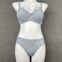 Ensemble de lingerie féminine en gros, imprimé mignon, soutien-gorge push-up à armatures avec bonnets rembourrés et culotte assortie, fabricant OEM ODM