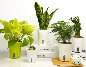 Vente en gros de pots de plantes en plastique transparents carrés de 7,5 cm de haute qualité, pots auto-arrosants blancs pour <span class=keywords><strong>jardin</strong></span> d'intérieur - Product Image 2