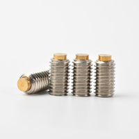 304 Stainless Steel Brass Tip Set Screw M3-M16 Hex Socket Grub Screw for Precision Positioning and Non-Marring Locking