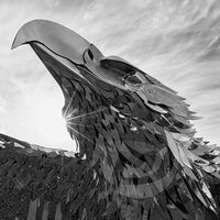 OEM ODM Grande décoration extérieure moderne Artisanat en métal Rcofriendly Animal Sculpture d'aigle en acier inoxydable