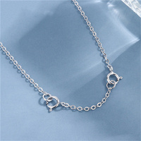 Chaîne d'extension en argent sterling 925 plaqué, accessoires de bijoux pour collier et bracelet, fermoirs de connexion DIY