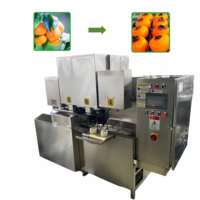 Automatische appel-peer-perzik schil-, kern- en snijmachine met geïntegreerde verwerking