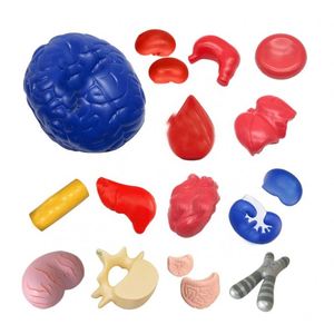 Balle anti-stress en forme de cerveau, vente en gros, impression de logo à bas prix, organes humains, balle anti-stress en PU en forme de cerveau - Product Image 1